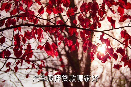 車子綠本抵押貸款平臺(車抵押綠本貸款有什么套路)? (http://m.ox-shoes.com/) 知識問答 第3張