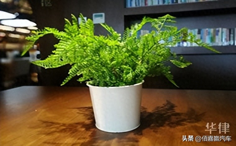 押車借錢需要啥手續(xù)(押車貸款需要什么資料)? (http://m.ox-shoes.com/) 知識問答 第1張