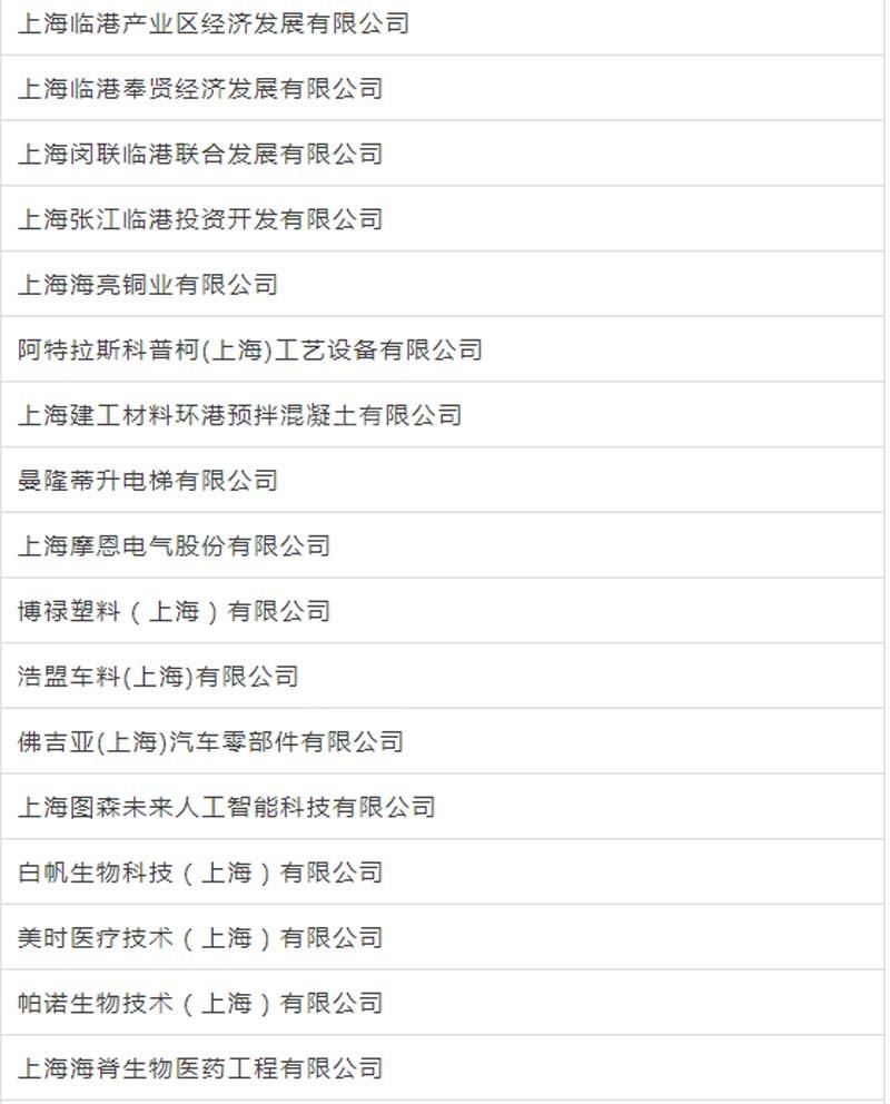 臨港新片區車輛抵押貸款(上海臨港新片區)? (http://m.ox-shoes.com/) 知識問答 第13張