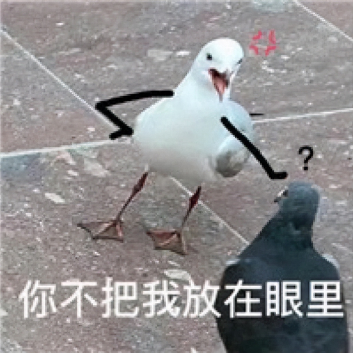 不押車不看征信貸款(押車貸款看征信嗎)? (http://m.ox-shoes.com/) 知識問答 第1張
