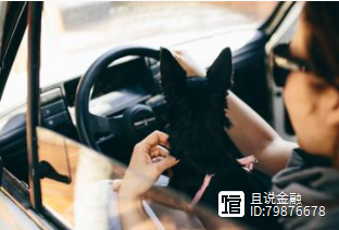 車子抵押借錢(抵押車子借錢合同)? (http://m.ox-shoes.com/) 知識(shí)問答 第5張