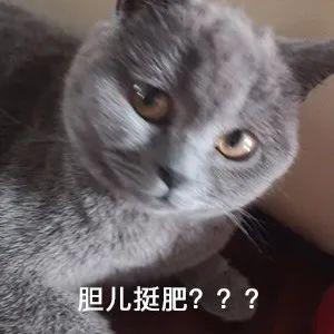 閔行區(qū)那里有車(chē)子抵押貸款的(上海汽車(chē)抵押貸)? (http://m.ox-shoes.com/) 知識(shí)問(wèn)答 第1張