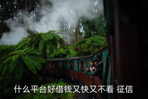 不查征信的網貸(網貸征信查多了多久能恢復)? (http://m.ox-shoes.com/) 知識問答 第1張