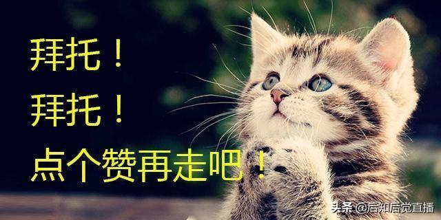 車抵押貸款不押車(車抵押貸款)? (http://m.ox-shoes.com/) 知識問答 第2張