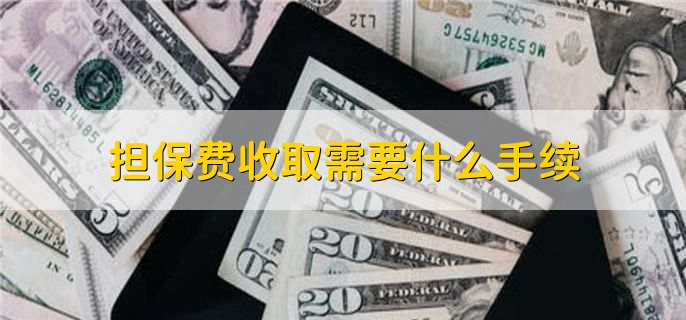 貸款擔(dān)保公司一般怎么收費(fèi)(擔(dān)保公司貸款服務(wù)費(fèi)收取標(biāo)準(zhǔn))? (http://m.ox-shoes.com/) 知識(shí)問(wèn)答 第2張
