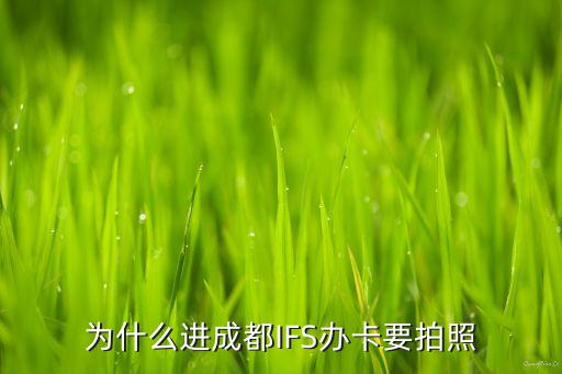 行駛證不是我的名字可以貸款嗎(車貸行駛證名字不是自己的)? (http://m.ox-shoes.com/) 知識(shí)問(wèn)答 第2張