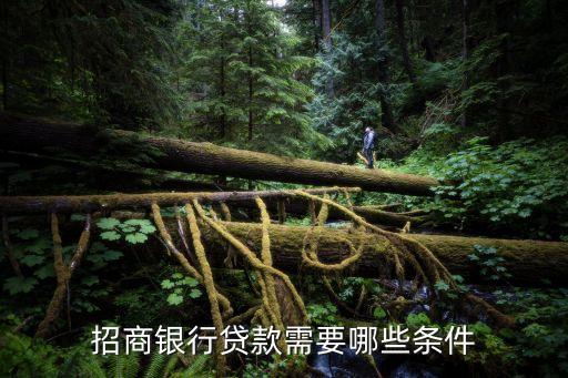 行駛證貸款(機動車行駛證貸款)? (http://m.ox-shoes.com/) 知識問答 第2張