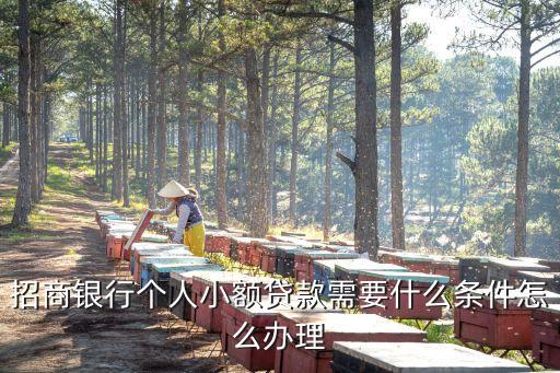 行駛證貸款(機動車行駛證貸款)? (http://m.ox-shoes.com/) 知識問答 第3張