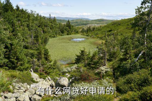正規網絡貸款平臺哪個靠譜好申請(貸款正規的平臺)? (http://m.ox-shoes.com/) 知識問答 第2張