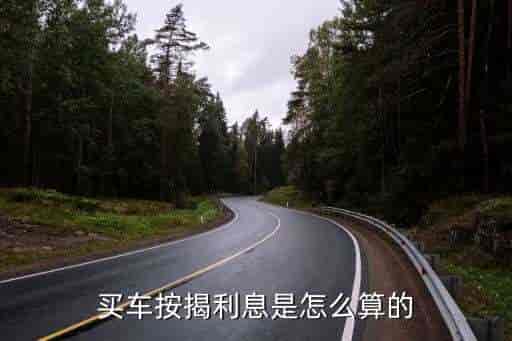 車貸利率(車貸了利率)? (http://m.ox-shoes.com/) 知識問答 第2張