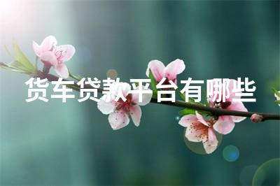 車子不抵押貸款(抵押車子貸款有什么風險)? (http://m.ox-shoes.com/) 知識問答 第1張