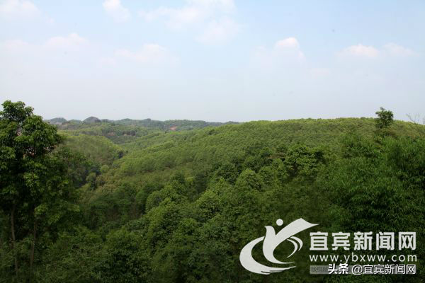 宜賓汽車抵押貸款(宜賓抵押車價格)? (http://m.ox-shoes.com/) 知識問答 第3張