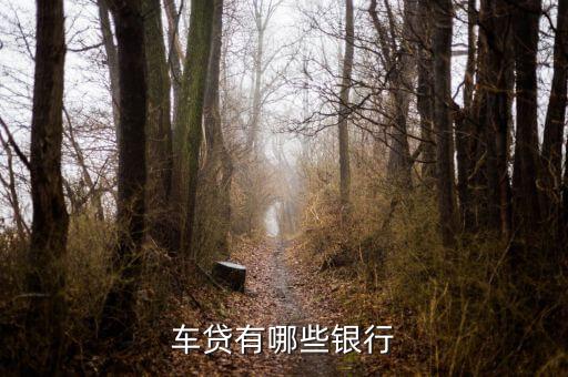 上海車輛貸款公司(上海汽車貸款公司業務)? (http://m.ox-shoes.com/) 知識問答 第2張