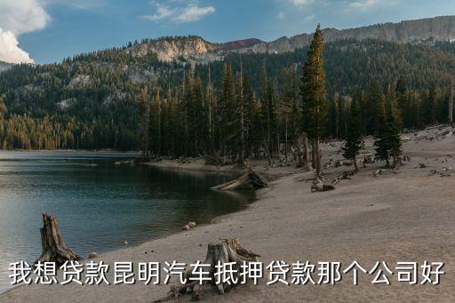 上海車子抵押貸款哪里可以做(上海的抵押車能買嗎)? (http://m.ox-shoes.com/) 知識問答 第2張