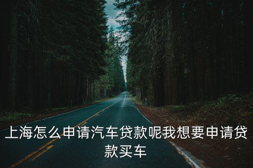 上海車牌貸款怎樣申請(上海車牌貸款申請了能取消嗎)? (http://m.ox-shoes.com/) 知識問答 第1張