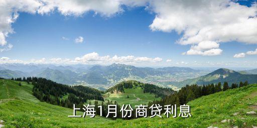 上海車貸利率是多少(上海車子貸款)? (http://m.ox-shoes.com/) 知識問答 第2張
