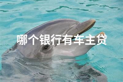 用車貸款哪個平臺靠譜(用車貸款的平臺)? (http://m.ox-shoes.com/) 知識問答 第1張