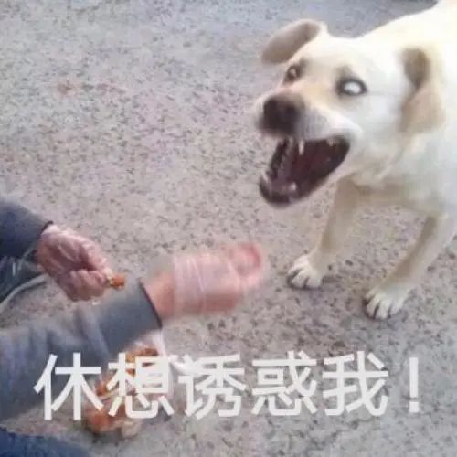 第三方車輛抵押貸款靠譜嗎%3F(三方抵押車可以買嗎)? (http://m.ox-shoes.com/) 知識問答 第2張