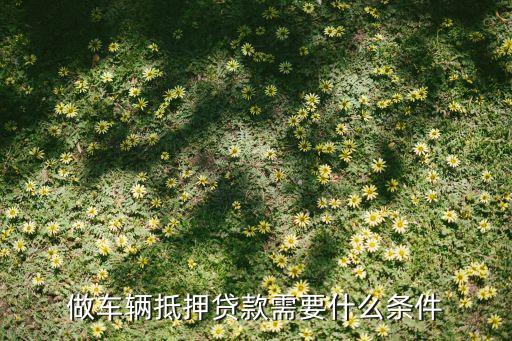 公司車抵押(抵押車公司戶好還是個(gè)人戶好)? (http://m.ox-shoes.com/) 知識(shí)問答 第1張
