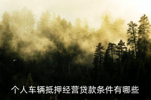 公司車抵押(抵押車公司戶好還是個(gè)人戶好)? (http://m.ox-shoes.com/) 知識(shí)問答 第2張