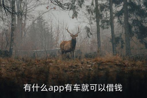 什么軟件可以代還車貸(貸代車軟件可以注銷嗎)? (http://m.ox-shoes.com/) 知識問答 第2張