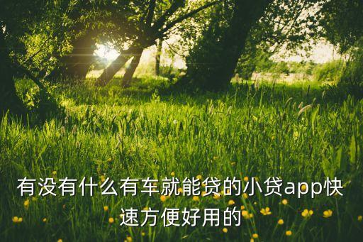 什么軟件可以代還車貸(貸代車軟件可以注銷嗎)? (http://m.ox-shoes.com/) 知識問答 第3張