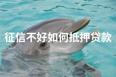 征信不好不押車貸款(押征信貸款車好過戶嗎)? (http://m.ox-shoes.com/) 知識問答 第1張