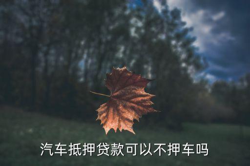 車輛抵押貸款哪個(gè)平臺(tái)利息最低(專業(yè)汽車抵押貸款利息低)? (http://m.ox-shoes.com/) 知識(shí)問答 第2張