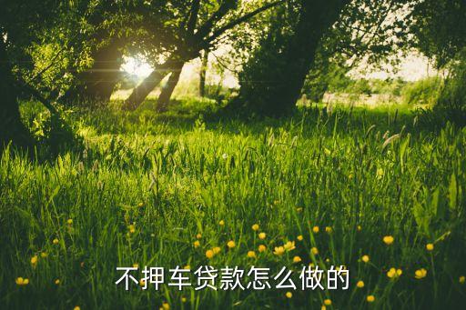 車子抵押貸款不押車(抵押車貸款風(fēng)險(xiǎn)大嗎)? (http://m.ox-shoes.com/) 知識問答 第1張