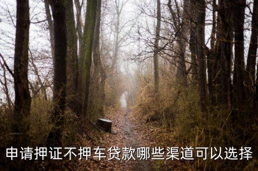 車子抵押貸款不押車(抵押車貸款風(fēng)險(xiǎn)大嗎)? (http://m.ox-shoes.com/) 知識問答 第3張