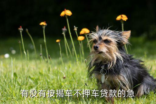 車子抵押貸款不押車(抵押貸款的車)? (http://m.ox-shoes.com/) 知識問答 第1張