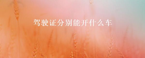 民間貸款公司(民間借貸的公司)? (http://m.ox-shoes.com/) 知識問答 第3張