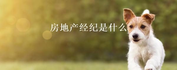 民間貸款公司(民間借貸的公司)? (http://m.ox-shoes.com/) 知識問答 第22張