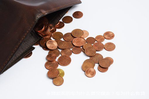 拿車的綠本怎么貸款(貸款車綠本拿到手了該怎么辦)? (http://m.ox-shoes.com/) 知識問答 第1張