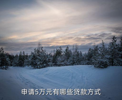 怎么能貸款5萬(能貸款的平臺有哪些)? (http://m.ox-shoes.com/) 知識問答 第1張