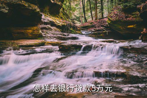 怎么能貸款5萬(能貸款的平臺有哪些)? (http://m.ox-shoes.com/) 知識問答 第2張