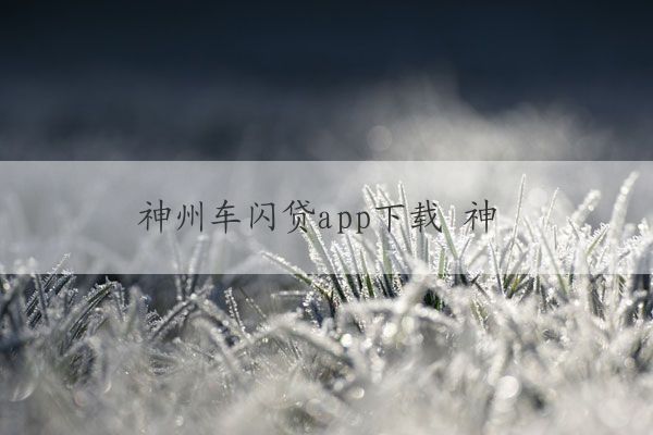 神州車閃貸app(神州閃貸抵押車安全嗎)? (http://m.ox-shoes.com/) 知識問答 第1張