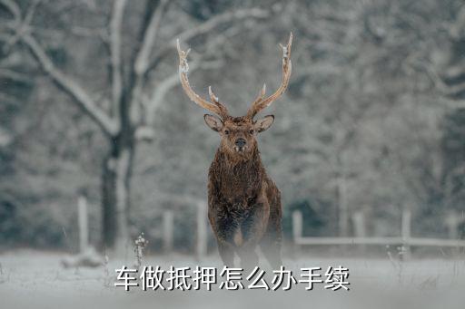 辦理車輛抵押貸款需要什么資料(抵押貸款車輛辦理資料需要哪些)？ (http://m.ox-shoes.com/) 知識問答 第1張