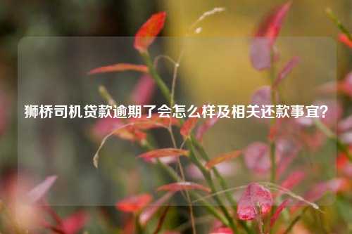 獅橋車抵貸(獅橋車抵貸利率是多少)？ (http://m.ox-shoes.com/) 知識問答 第1張