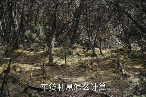 車抵貸哪家銀行利息低(低利息抵押貸款)？ (http://m.ox-shoes.com/) 知識問答 第1張