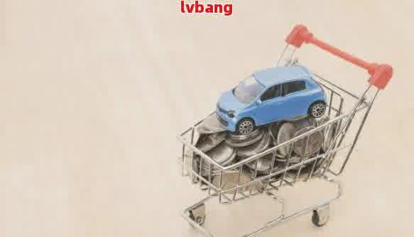 有車輛抵押貸款(抵押貸款車輛有什么影響)？ (http://m.ox-shoes.com/) 知識問答 第1張