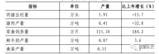 上海私家車抵押(上海抵押車私人抵押)？ (http://m.ox-shoes.com/) 知識問答 第2張