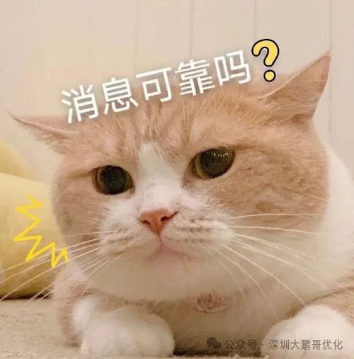 車輛抵押貸款必須要綠本嗎(抵押車子綠本也要看征信嗎)？ (http://m.ox-shoes.com/) 知識問答 第2張