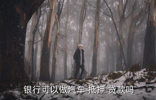 車抵押貸額度(抵押車貸款金額)？ (http://m.ox-shoes.com/) 知識問答 第3張