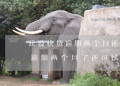 汽車抵押快貸(抵押車貸款有什么坑)？ (http://m.ox-shoes.com/) 知識問答 第1張