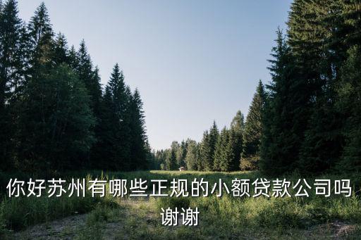 蘇州無抵押信用貸款(蘇州正規(guī)貸款企業(yè))？ (http://m.ox-shoes.com/) 知識(shí)問答 第1張